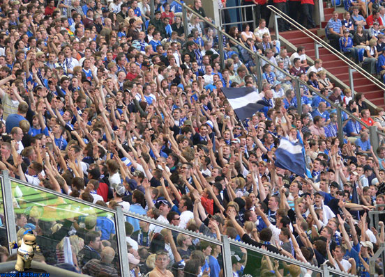 FC Schalke 04 vs VfL Bochum (1-0) (7)