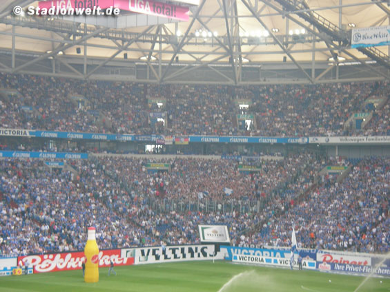 FC Schalke 04 vs VfL Bochum (3-0) (2)