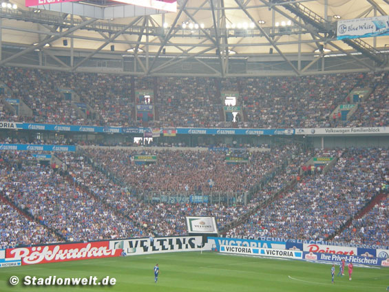FC Schalke 04 vs VfL Bochum (3-0) (4)