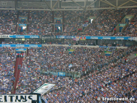 FC Schalke 04 vs VfL Bochum (3-0) (5)