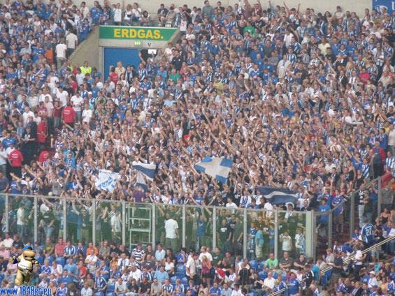 FC Schalke 04 vs VfL Bochum (3-0) (7)