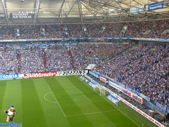 FC Schalke 04 vs VfL Bochum (3-0) (8)