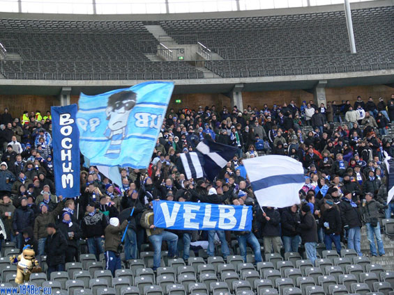 Hertha BSC vs VfL Bochum (0-0) (2)