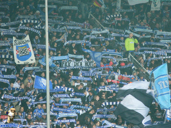 VfL Bochum vs TSG Hoffenheim (2-1) (8)