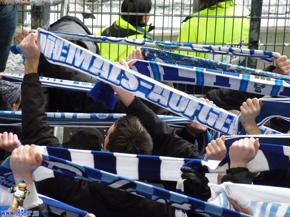 VfL Wolfsburg vs VfL Bochum (4-1) (2)