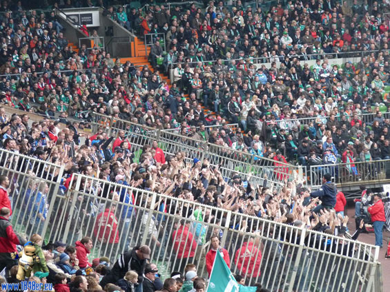 Werder Bremen vs VfL Bochum (3-2) (6)