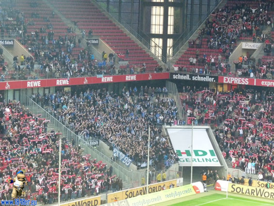 1. FC Köln vs VfL Bochum (2-0) (5)
