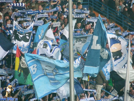 VfL Bochum vs VfB Stuttgart (0-2) (1)