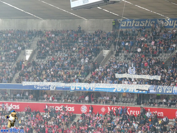 FC Bayern München vs VfL Bochum (3-1) (5)