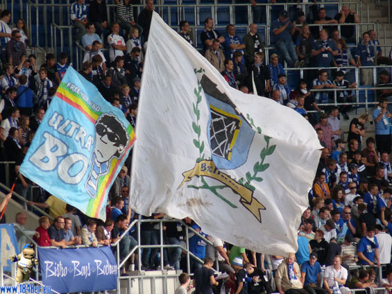 TSG Hoffenheim vs VfL Bochum (3-0) (2)