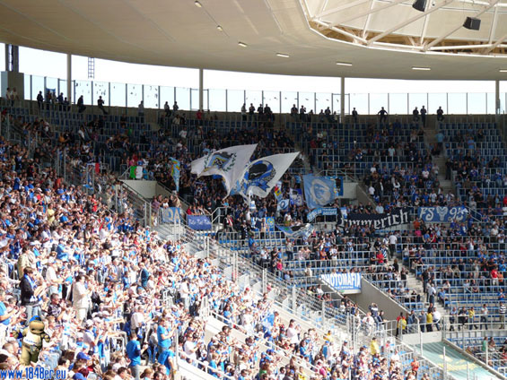 TSG Hoffenheim vs VfL Bochum (3-0) (3)