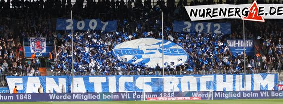 VfL Bochum vs FC Energie Cottbus (2-2) (2)