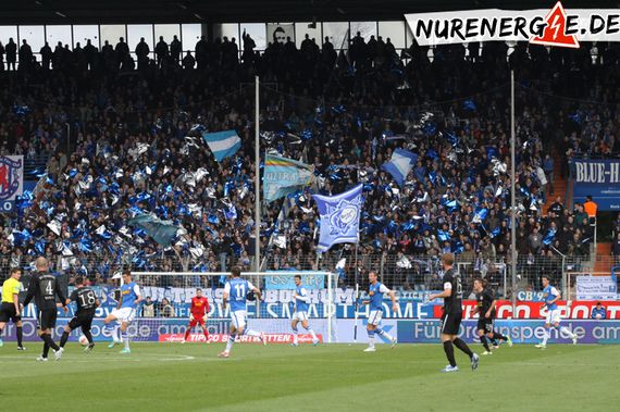 VfL Bochum vs FC Energie Cottbus (2-2) (5)