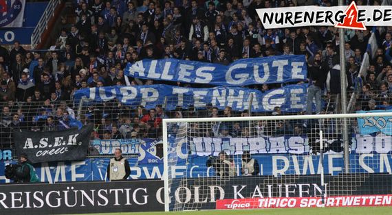 VfL Bochum vs FC Energie Cottbus (2-2) (8)