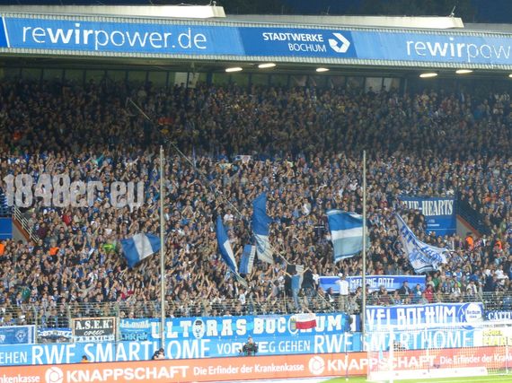 VfL Bochum vs SV Darmstadt 98 (1-1) (1)