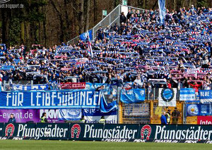 SV Darmstadt 98 vs VfL Bochum (2-0)