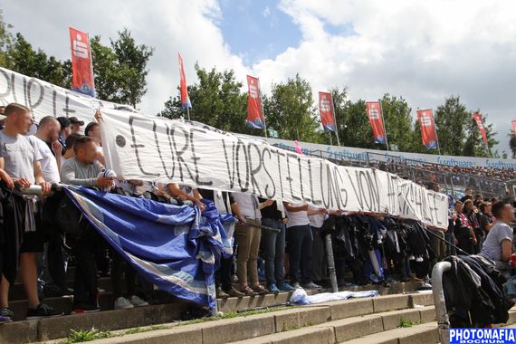 SV Darmstadt 98 vs VfL Bochum (1-2) (16)