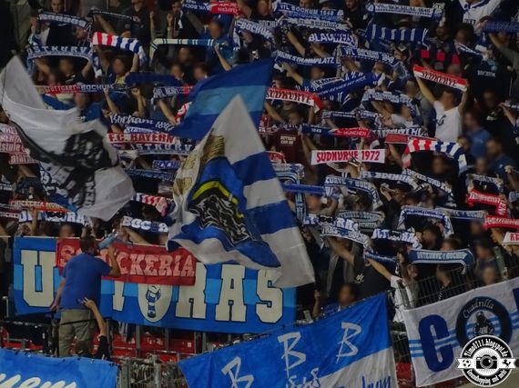 VfB Stuttgart vs VfL Bochum (2-1) (9)