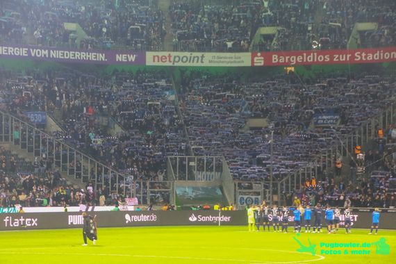 Borussia Mönchengladbach vs VfL Bochum (2-1) (5)