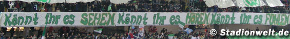 VfL Wolfsburg vs Hannover 96 (2-1) (5)