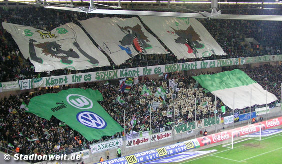 VfL Wolfsburg vs Hannover 96 (2-1) (8)