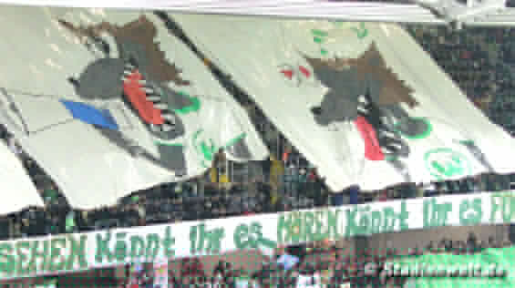 VfL Wolfsburg vs Hannover 96 (2-1) (10)