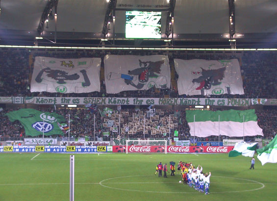 VfL Wolfsburg vs Hannover 96 (2-1) (14)