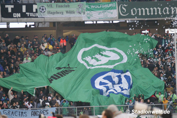 VfL Wolfsburg vs 1. FC Köln (2-0) (11)