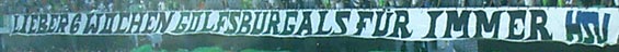 VfL Wolfsburg vs Hamburger SV (5-1) (4)