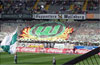 VfL Wolfsburg vs Eintracht Frankfurt (1-0)
