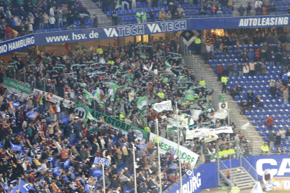 Hamburger SV vs VfL Wolfsburg (3-1) (1)
