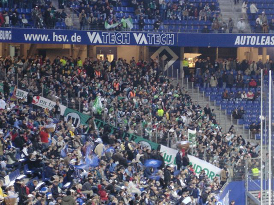 Hamburger SV vs VfL Wolfsburg (3-1) (3)