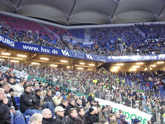 Hamburger SV vs VfL Wolfsburg (3-1) (4)