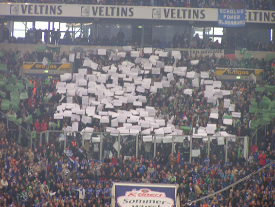 FC Schalke 04 vs VfL Wolfsburg (3-0) (4)