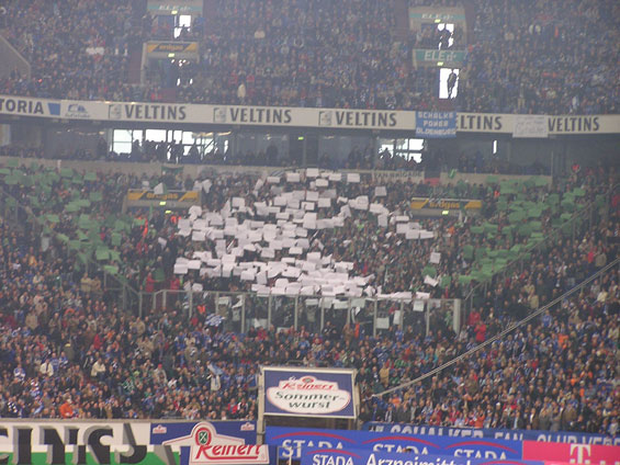 FC Schalke 04 vs VfL Wolfsburg (3-0) (5)