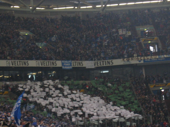 FC Schalke 04 vs VfL Wolfsburg (3-0) (6)