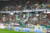 VfL Wolfsburg vs 1. FC Kaiserslautern (2-1)