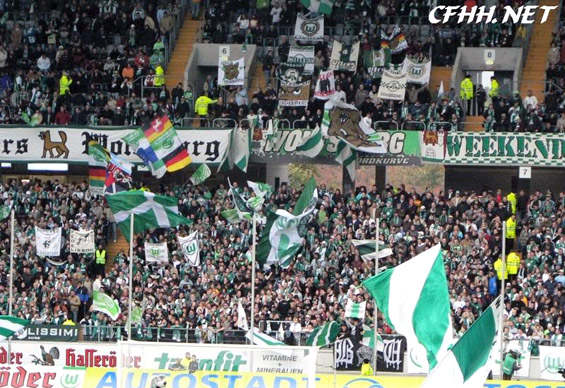 VfL Wolfsburg vs Hamburger SV (1-0) (3)