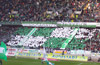 VfL Wolfsburg vs FC Schalke 04 (2-2)