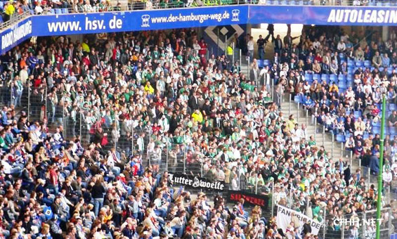 Hamburger SV vs VfL Wolfsburg (1-0) (1)