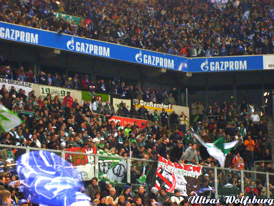FC Schalke 04 vs VfL Wolfsburg (1-2) (5)