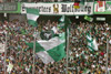 VfL Wolfsburg vs FC Schalke 04 (1-1)
