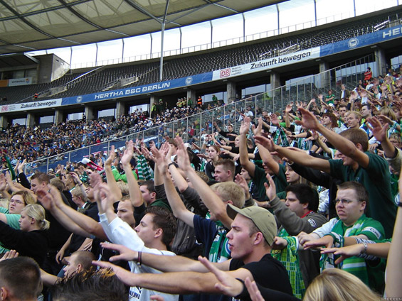 Hertha BSC vs VfL Wolfsburg (2-1) (5)