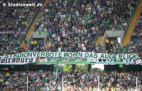 VfL Wolfsburg vs 1. FC Köln (2-1) (12)