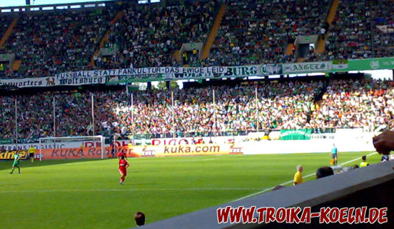 VfL Wolfsburg vs 1. FC Köln (2-1) (13)