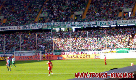 VfL Wolfsburg vs 1. FC Köln (2-1) (14)