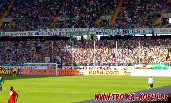 VfL Wolfsburg vs 1. FC Köln (2-1) (15)