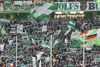VfL Wolfsburg vs Hannover 96 (2-1)