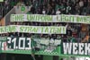 VfL Wolfsburg vs Bayer 04 Leverkusen (2-1)