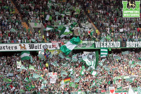 VfL Wolfsburg vs TSG Hoffenheim (4-0) (5)